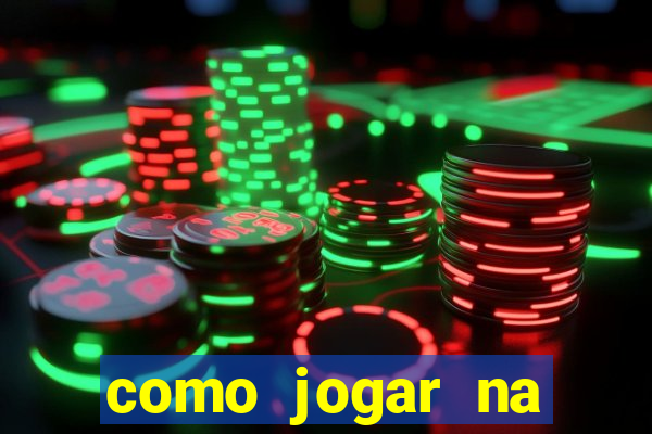 como jogar na lotinha do jogo do bicho